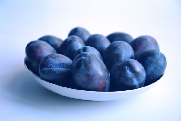 black plums in a white bowl black plums in a white bowl