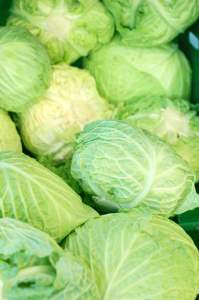 cabbages