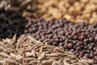 cumin
