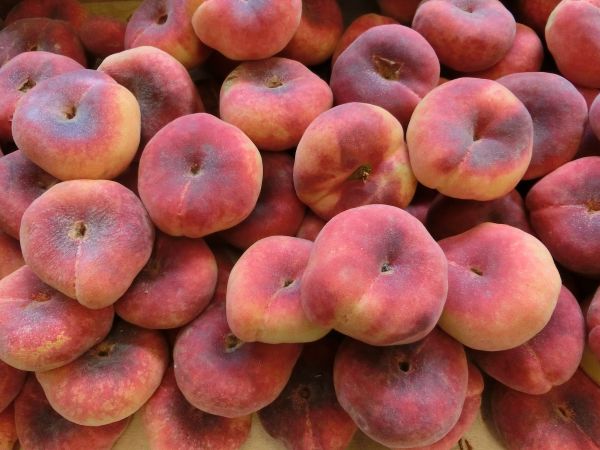 flatto peaches - peaches that look squashed flatto peaches - peaches that look squashed