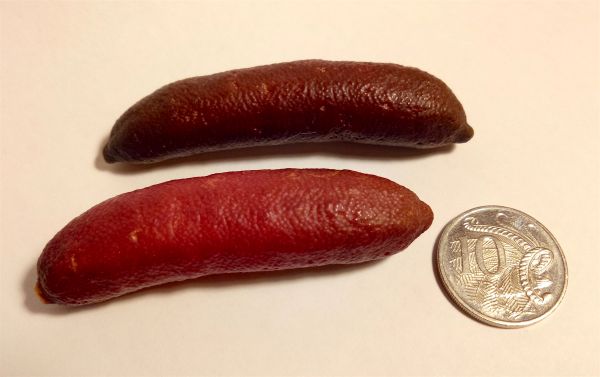 two red finger limes with a NZ 10c coin two red finger limes with a NZ 10c coin