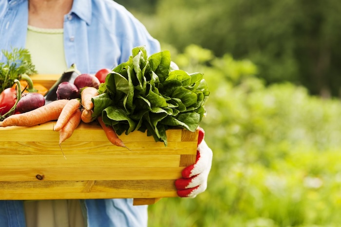 box of vegetables