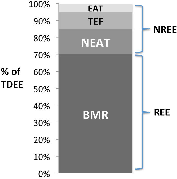 How many calories does each component burn