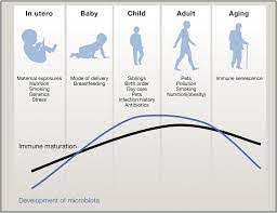 AGE RELATED IMMUNITY: A MISSOULA CHIROPRACTOR EXPLAINS