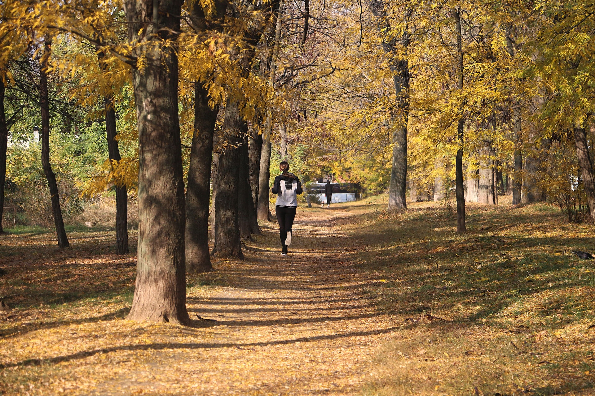 fall running