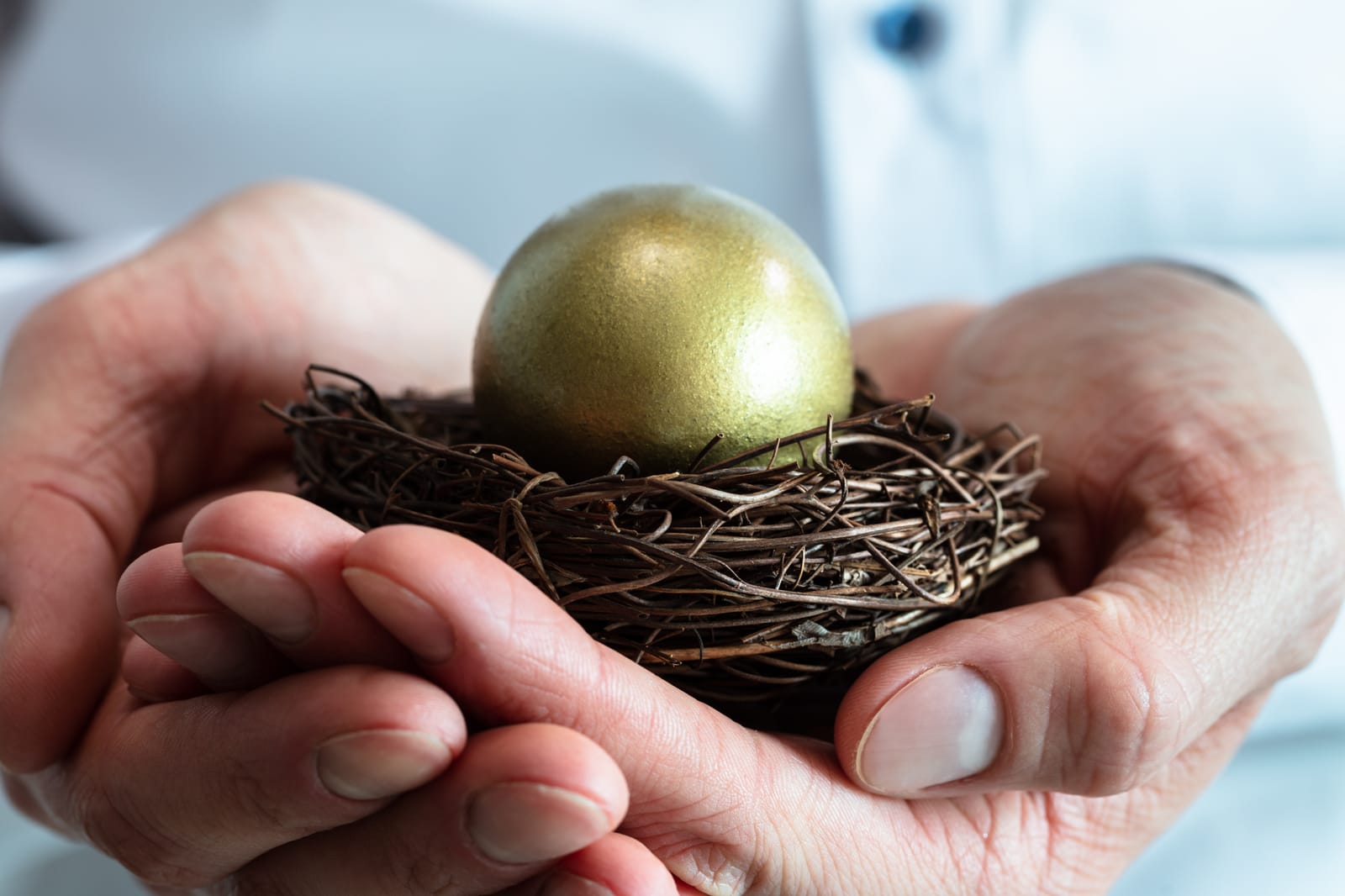 Goldenes Ei im Oster-Nest Goldenes Ei im Oster-Nest
