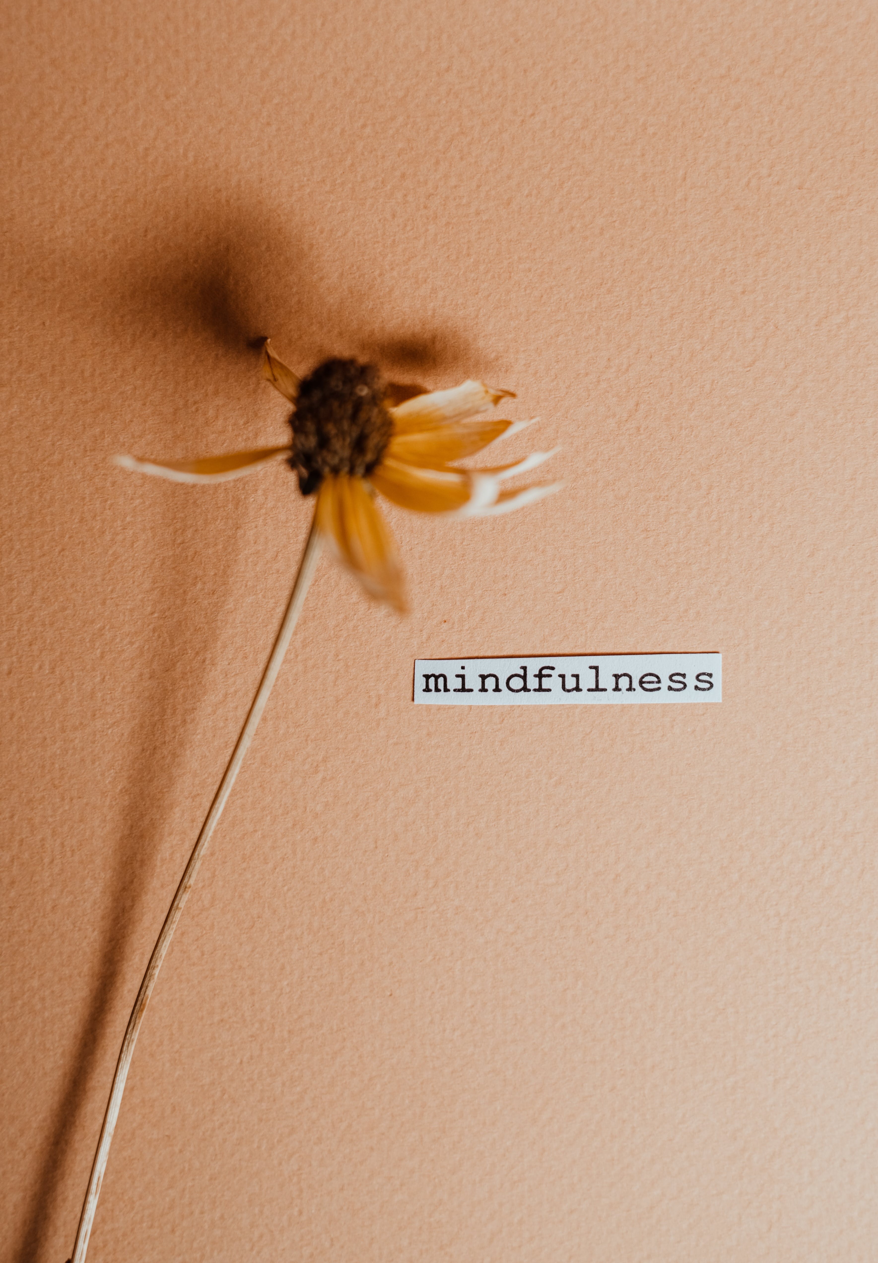 personal resilience