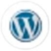 WordPress icon