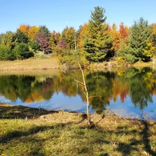 Dearborn County Park