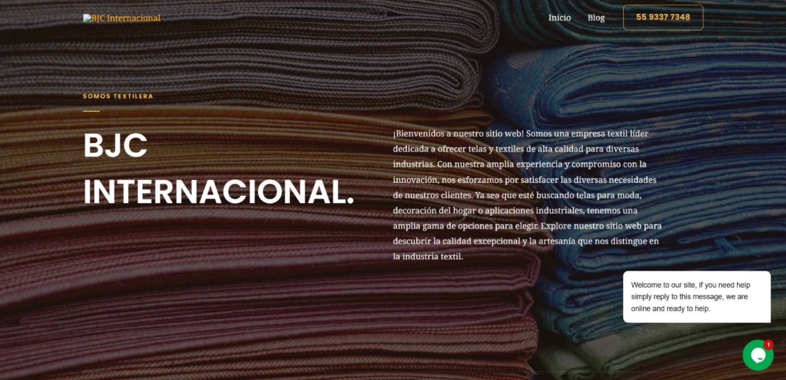 Website example 3