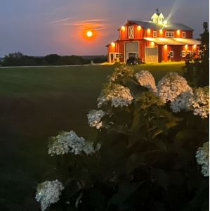 Kansas City Farm Life