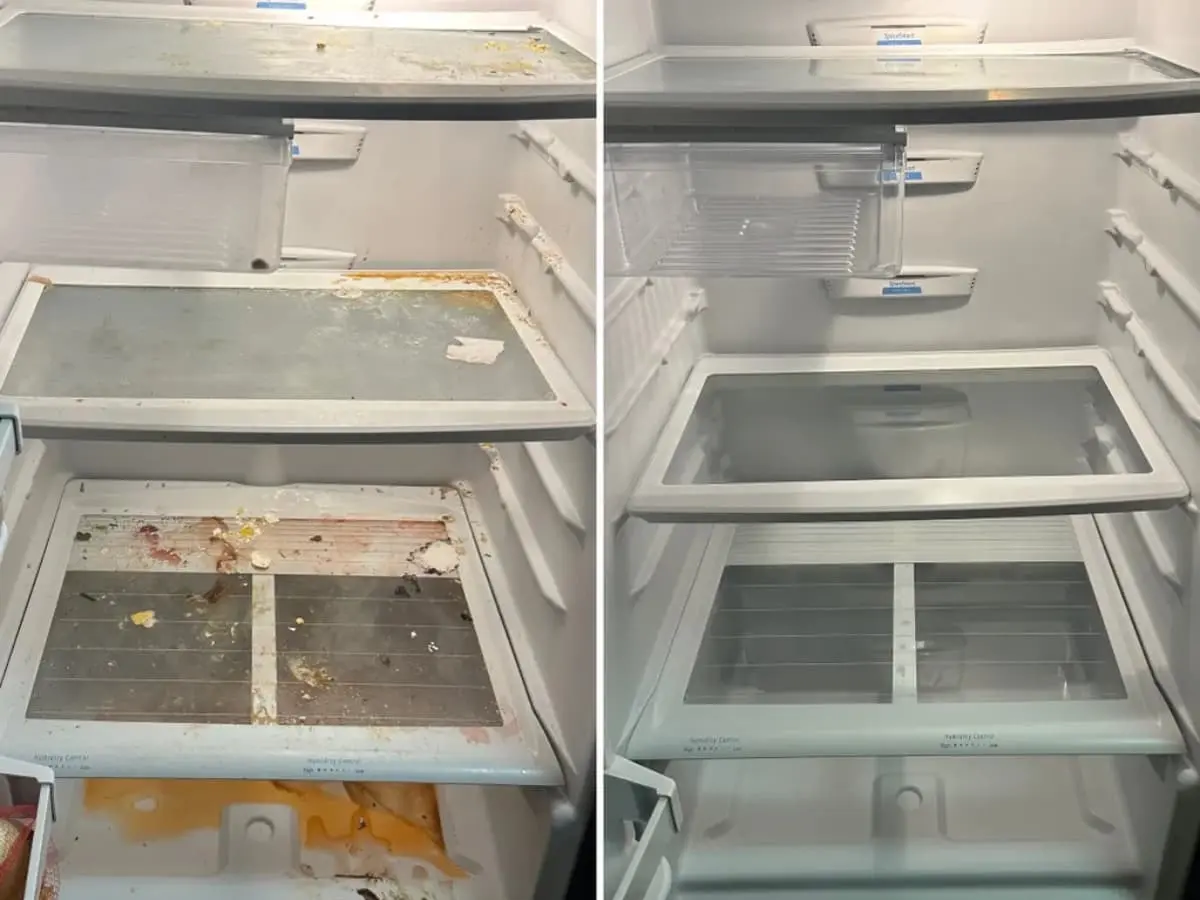 alt="Before and after of a very dirty refrigerator interior with spills, transformed into a clean and sanitary state."