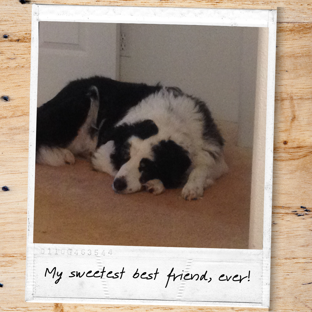 My sweetest best friend ever! My sweetest best friend ever!