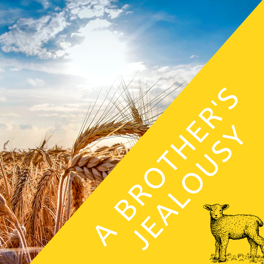 A Brother's Jealousy