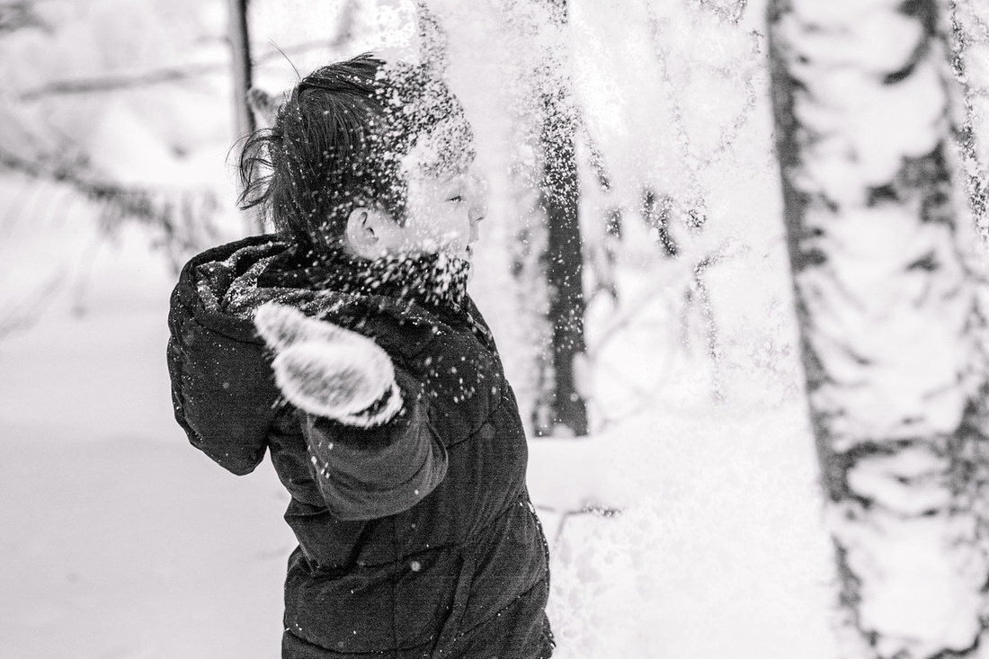 The Most Traditional Christmas Pictures You'll Want Taken