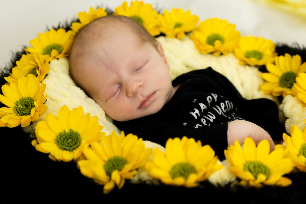 Newborn Photography