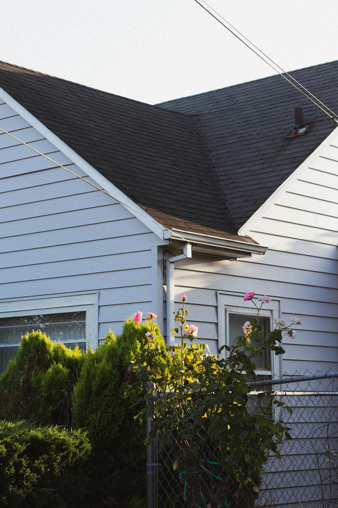 Roof and Gutters