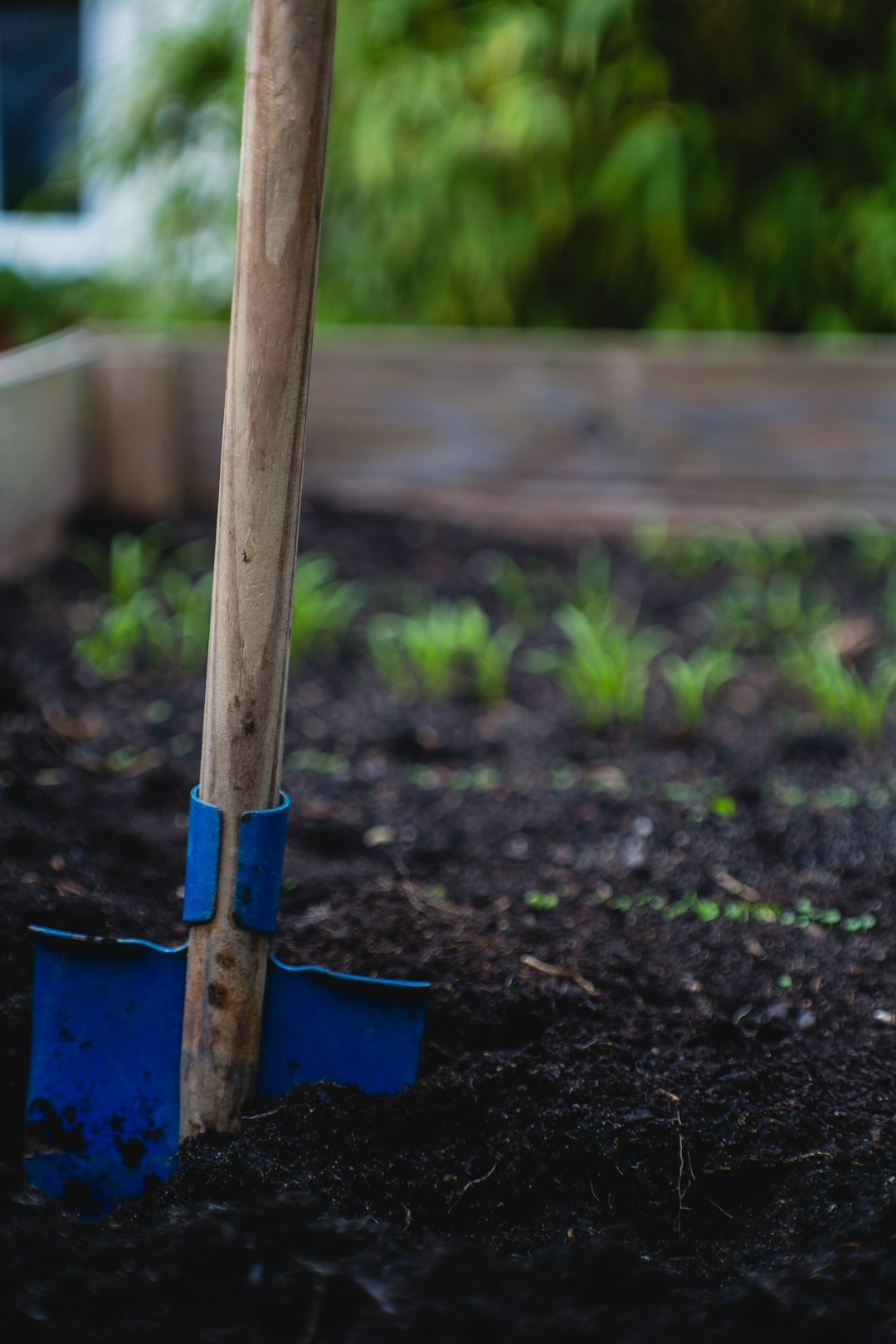 Garden Beds