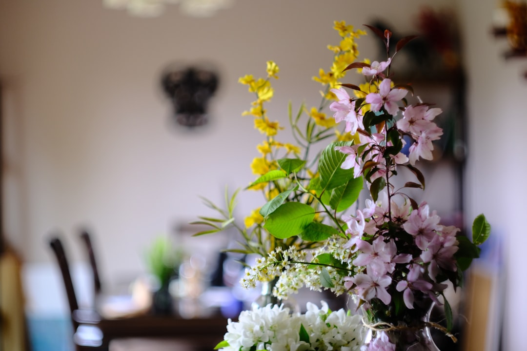 Spring Home