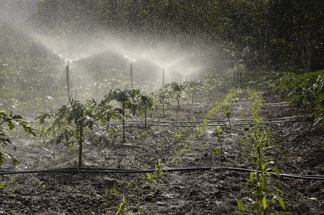 Irrigation System