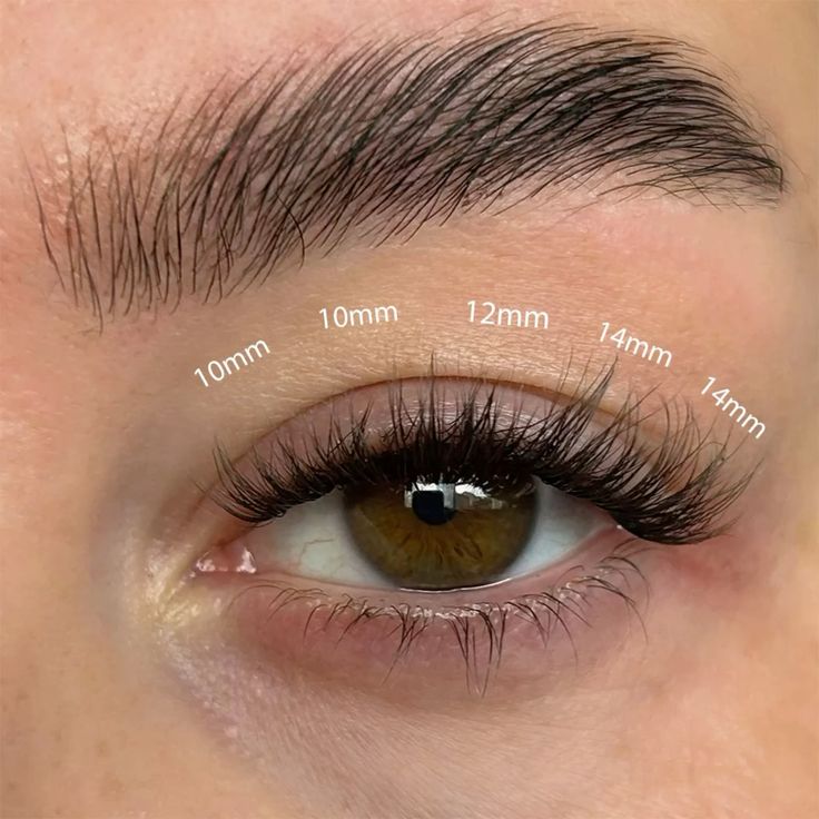 The length, curl, and thickness of eyelash extensions significantly influence the final look and feel: