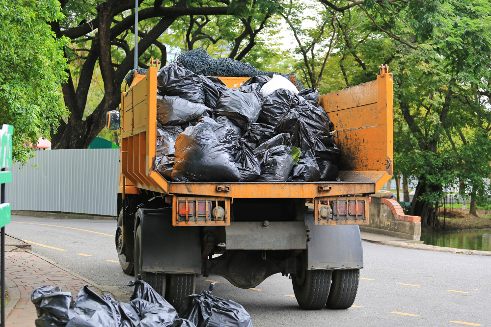 Junk Removal Junk Removal