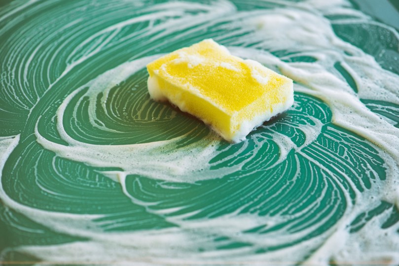 sponge and suds