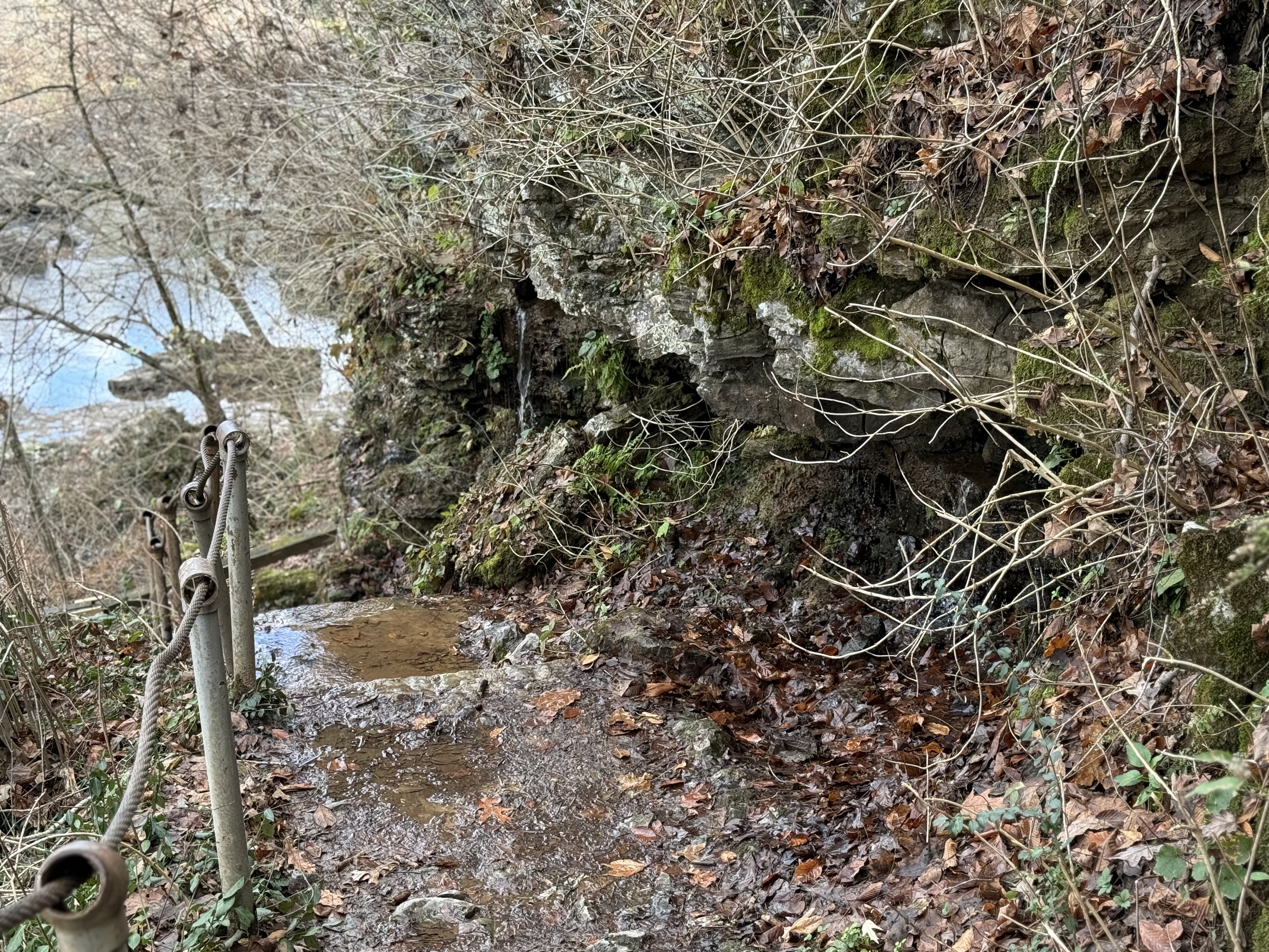 rainy steps rainy steps