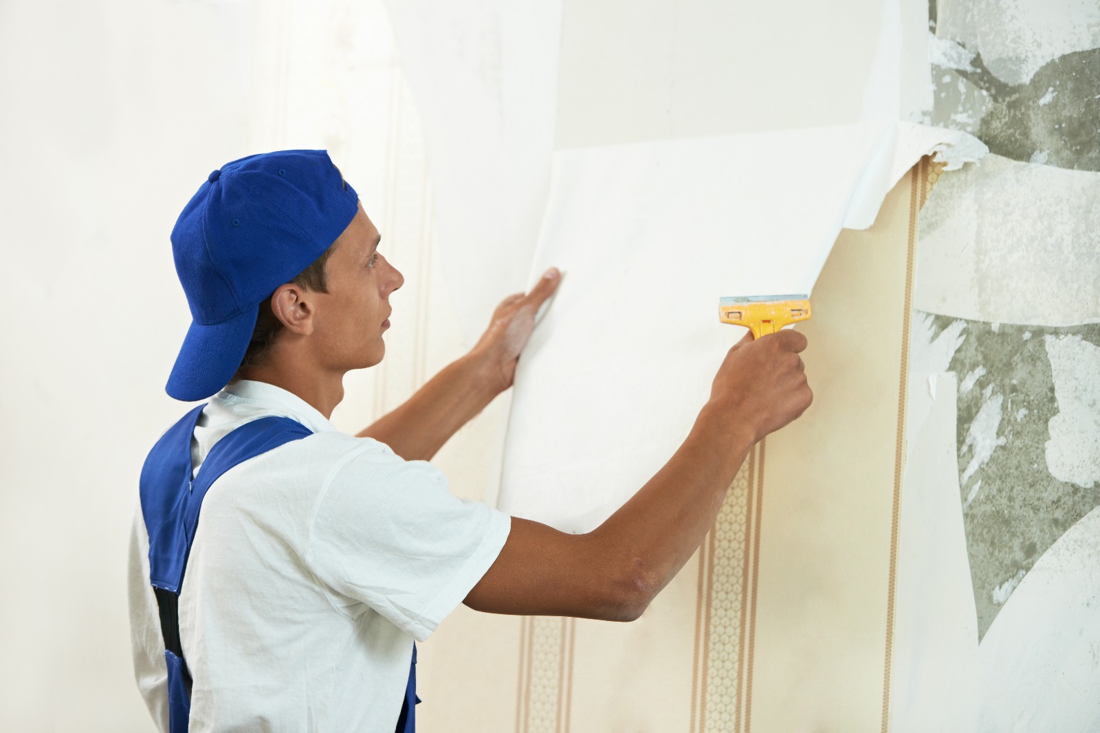 Painting & finishing