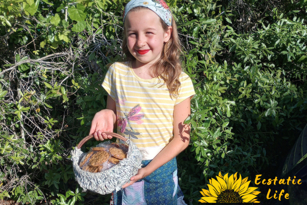 my 9 year old selling cookies my 9 year old selling cookies