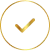 Check Icon