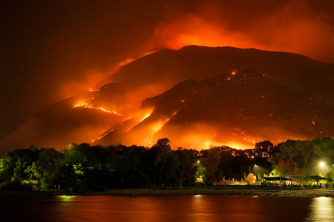 wildfire migration business wildfire migration business