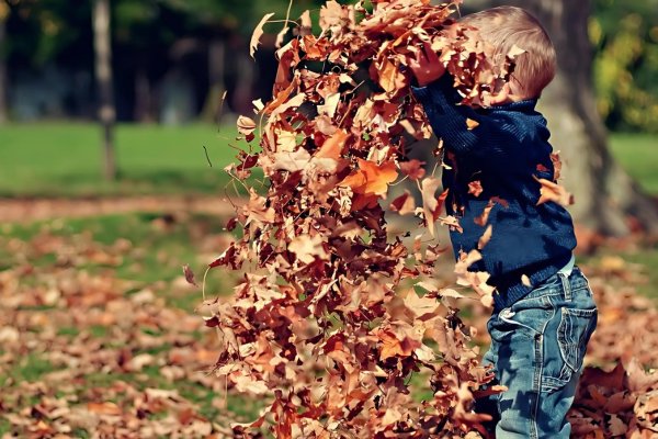 outdoor toddler activities leaves outdoor toddler activities leaves