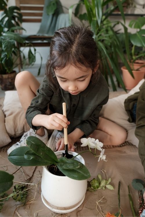 gardening activities gardening activities