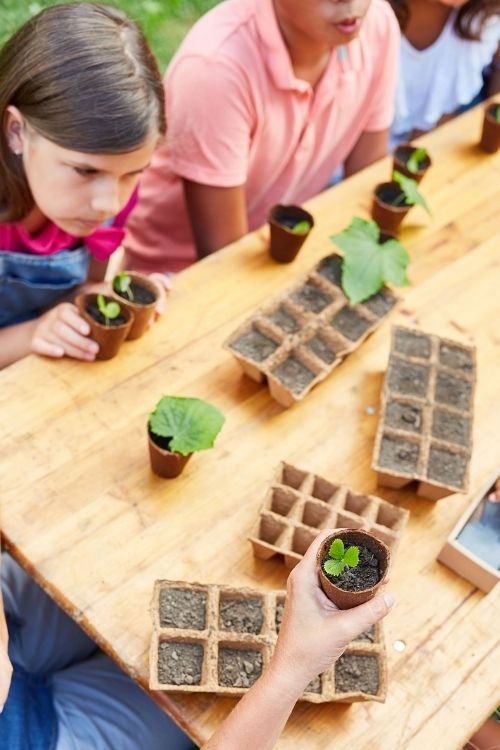 gardening activities for kids gardening activities for kids
