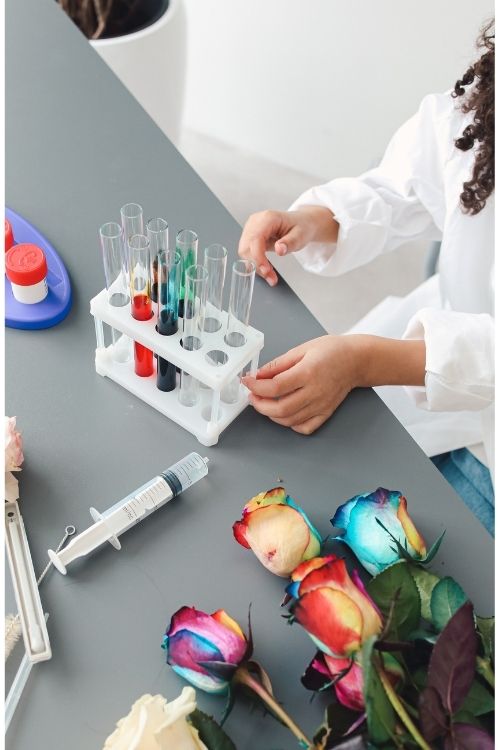 spring stem activitties spring stem activitties