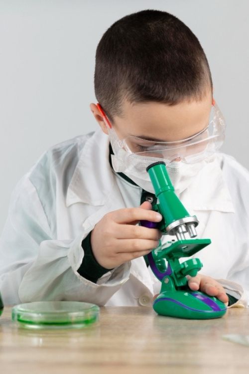fall stem activities fall stem activities