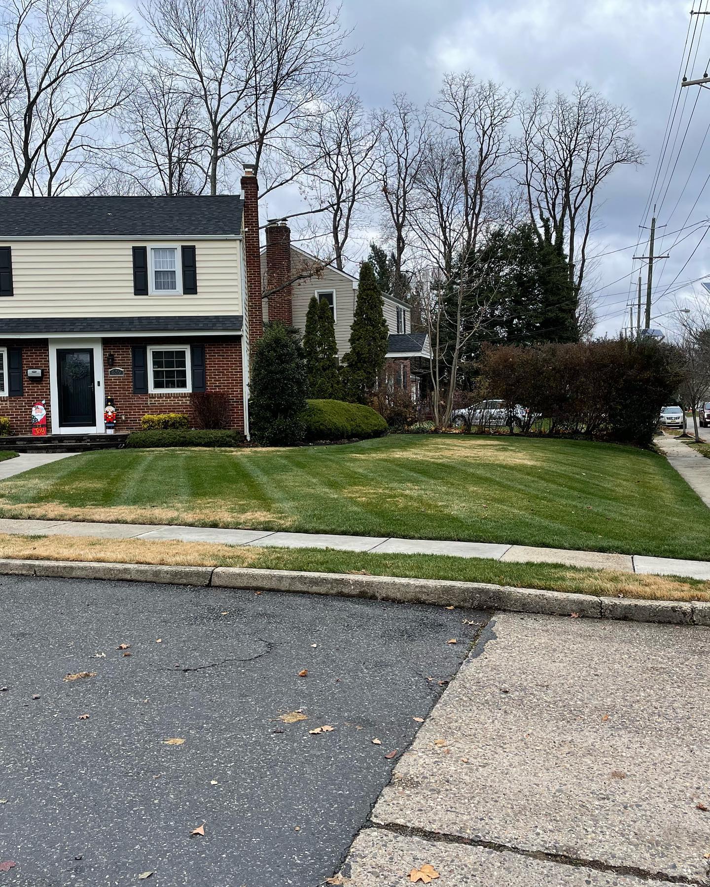 Lawn Care Project