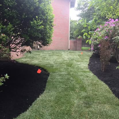 Lawn Care Program