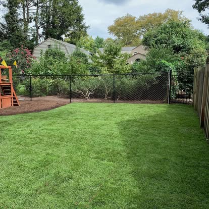 Professional Landscaping Services