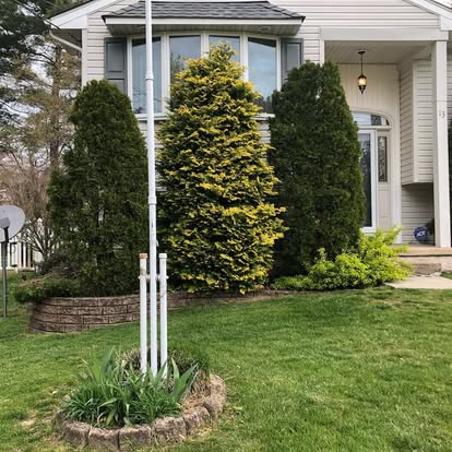 Landscaping Services