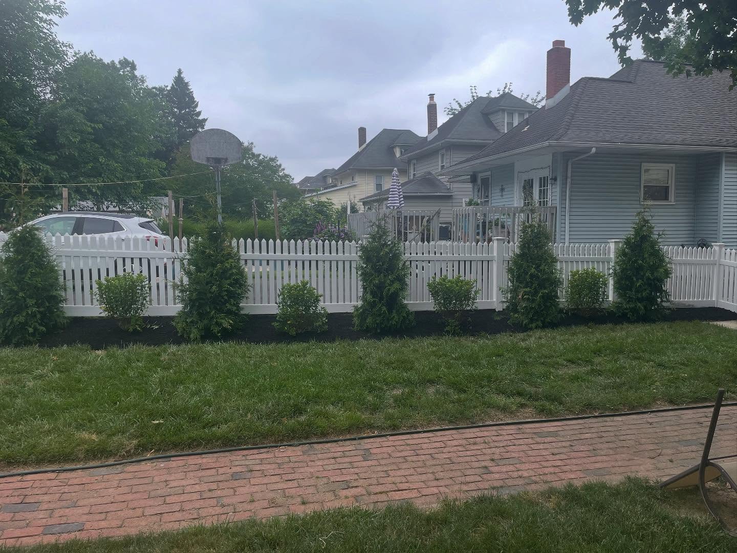 Professional Tree Planting