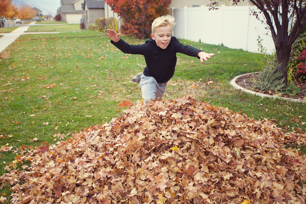 boy jumping into a pile of leaves