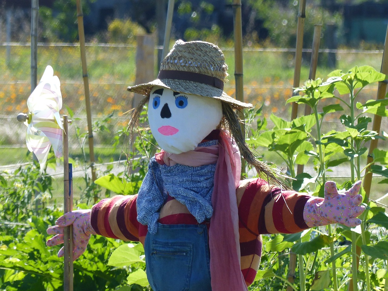 scarecrow in the garden