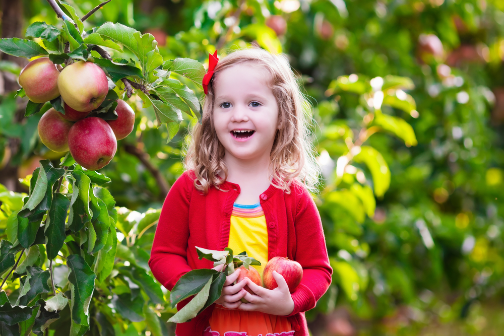 girl picking apples