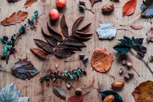 fall scavenger hunt