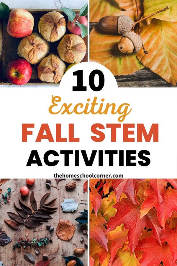 Pinterest pin highlighting some fall STEM activities for kids