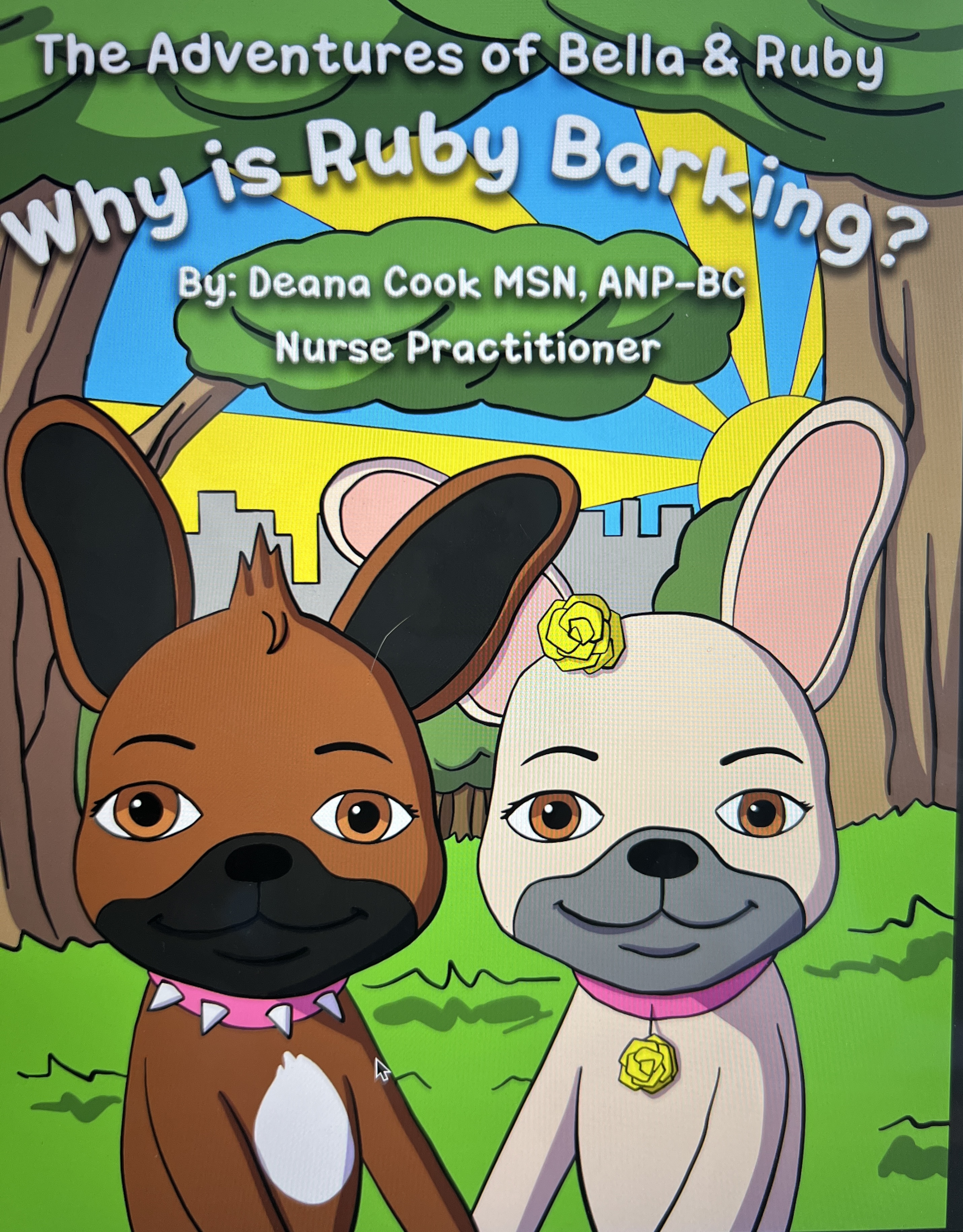 Deana Cook, MSN, ANP-BC, Launches Children's Book Series