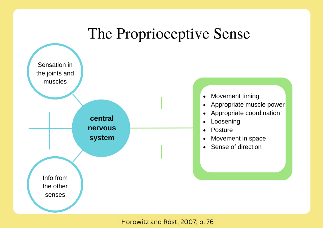 Diagram of the proprioceptive system Diagram of the proprioceptive system