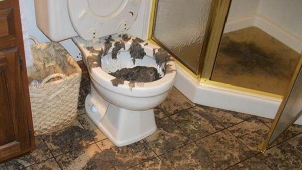toilet backed up toilet backed up